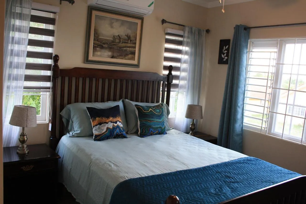 Soleil Palm View Villa Priory Jamaika
